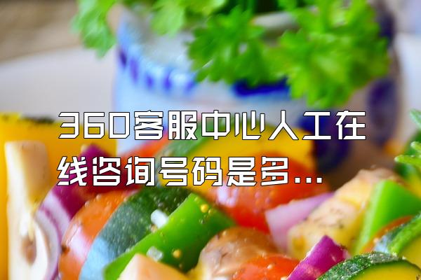 360客服中心人工在线咨询号码是多少