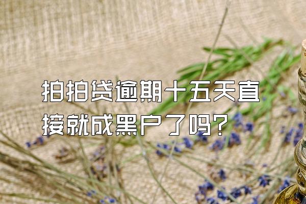 拍拍贷逾期十五天直接就成黑户了吗?