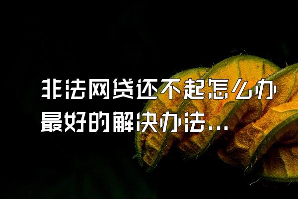 非法网贷还不起怎么办最好的解决办法是
