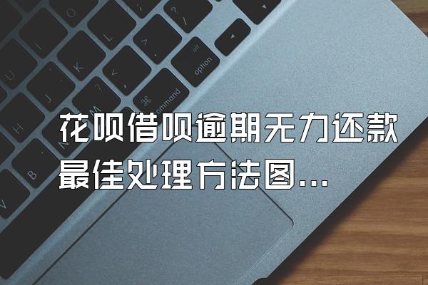 花呗借呗逾期无力还款最佳处理方法图片