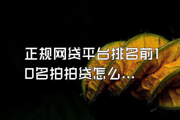 正规网贷平台排名前10名拍拍贷怎么样