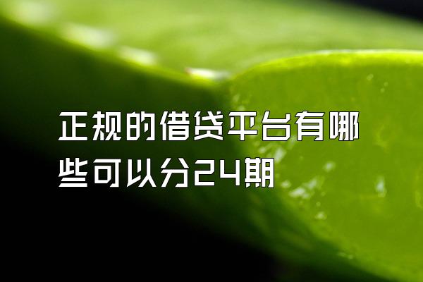 正规的借贷平台有哪些可以分24期