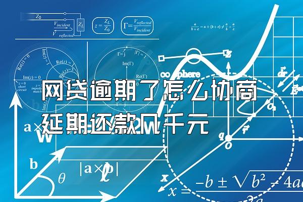 网贷逾期了怎么协商延期还款几千元