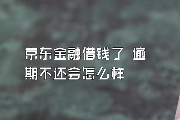 京东金融借钱了 逾期不还会怎么样