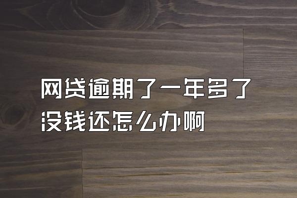 网贷逾期了一年多了没钱还怎么办啊