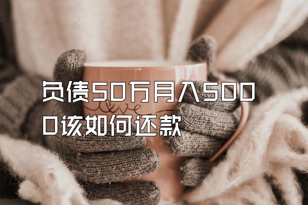 负债50万月入5000该如何还款