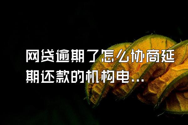 网贷逾期了怎么协商延期还款的机构电话