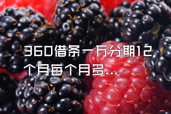 360借条一万分期12个月每个月多少