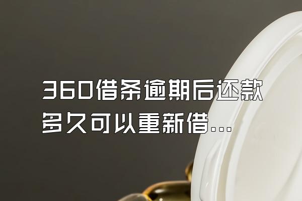 360借条逾期后还款多久可以重新借款