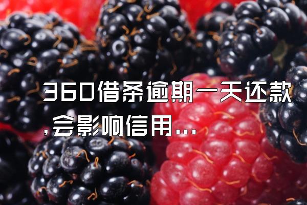 360借条逾期一天还款,会影响信用吗
