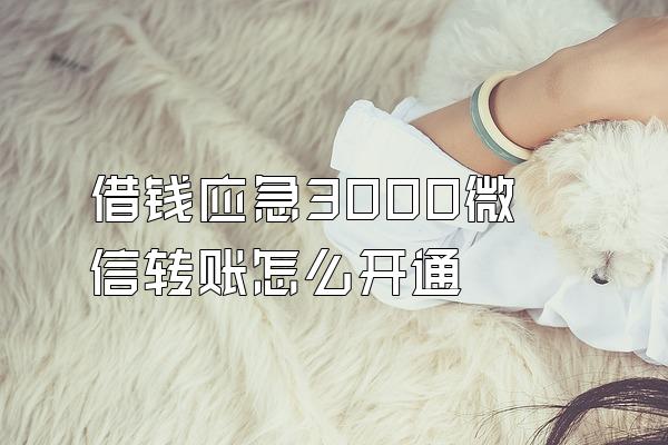 借钱应急3000微信转账怎么开通