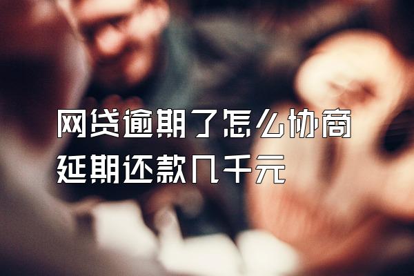 网贷逾期了怎么协商延期还款几千元