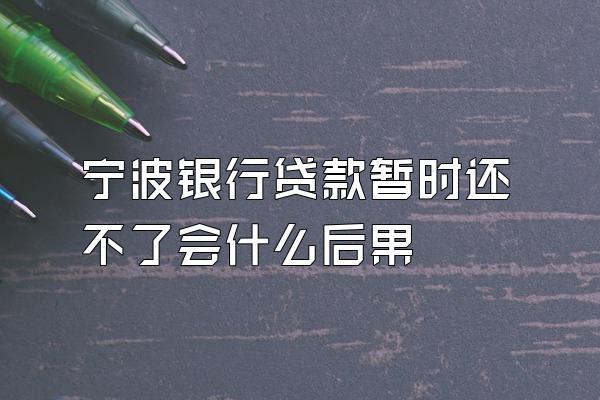 宁波银行贷款暂时还不了会什么后果