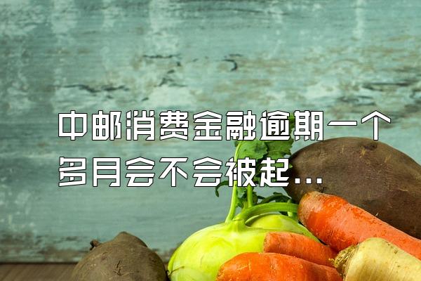 中邮消费金融逾期一个多月会不会被起诉