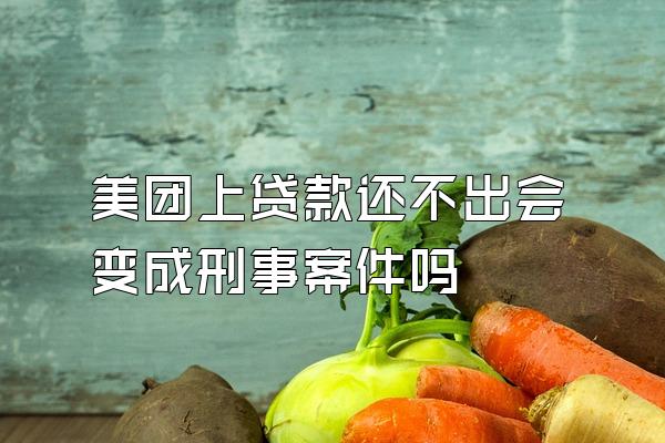 美团上贷款还不出会变成刑事案件吗
