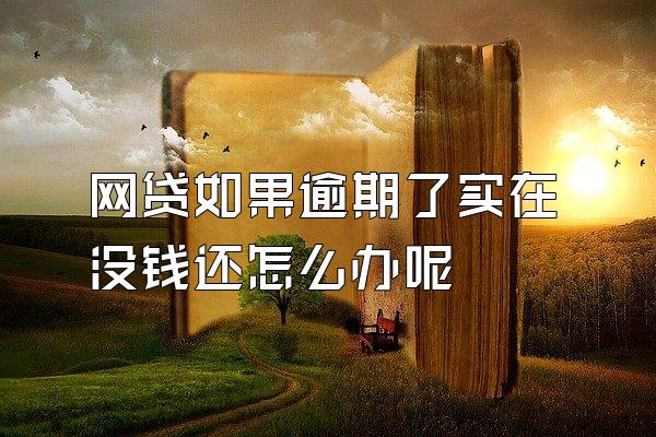 网贷如果逾期了实在没钱还怎么办呢