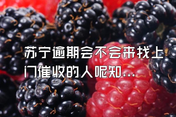 苏宁逾期会不会来找上门催收的人呢知乎