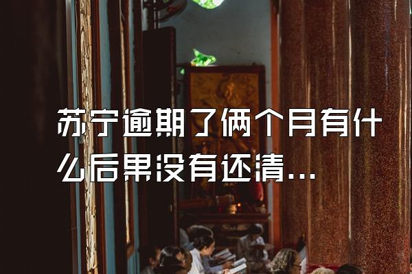 苏宁逾期了俩个月有什么后果没有还清的