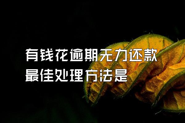 有钱花逾期无力还款最佳处理方法是