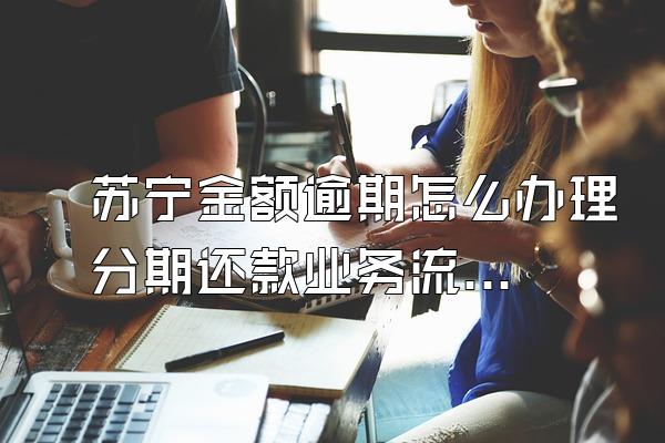 苏宁金额逾期怎么办理分期还款业务流程