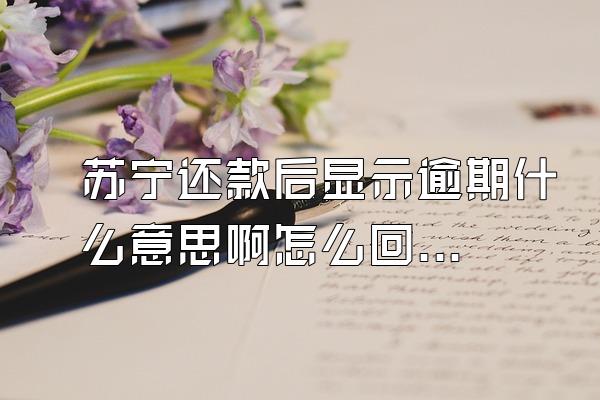 苏宁还款后显示逾期什么意思啊怎么回事
