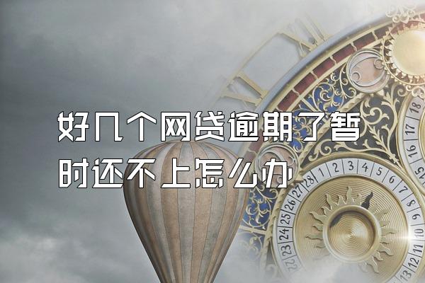 好几个网贷逾期了暂时还不上怎么办