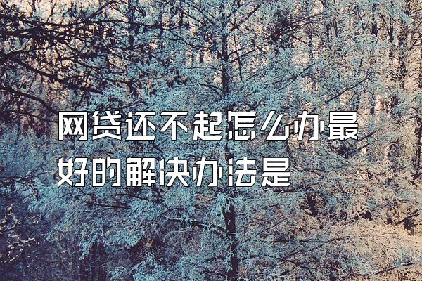 网贷还不起怎么办最好的解决办法是