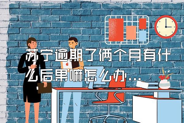 苏宁逾期了俩个月有什么后果嘛怎么办啊