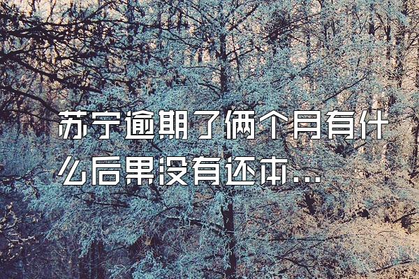 苏宁逾期了俩个月有什么后果没有还本金