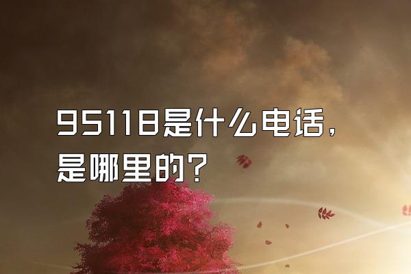 95118是什么电话,是哪里的?