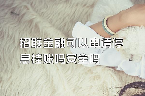 招联金融可以申请停息挂账吗安全吗