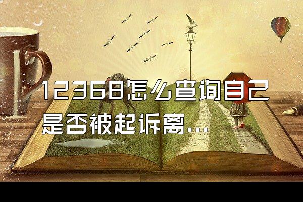 12368怎么查询自己是否被起诉离婚