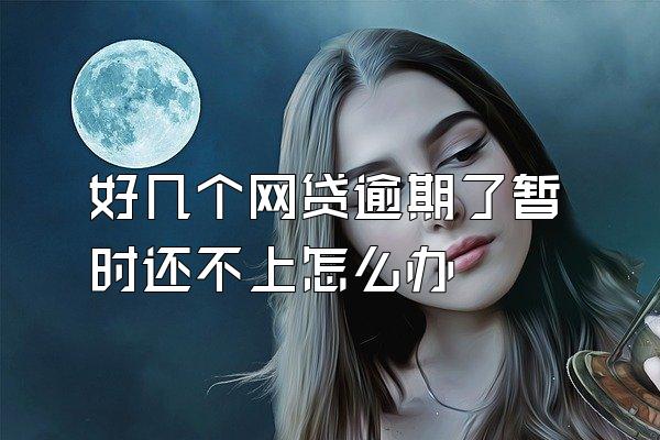 好几个网贷逾期了暂时还不上怎么办