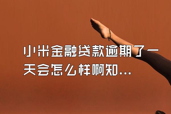 小米金融贷款逾期了一天会怎么样啊知乎