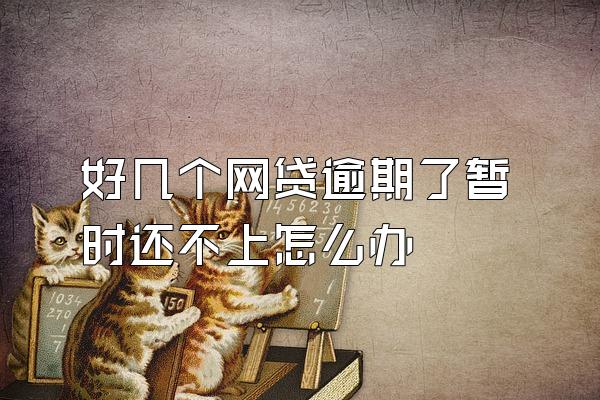 好几个网贷逾期了暂时还不上怎么办