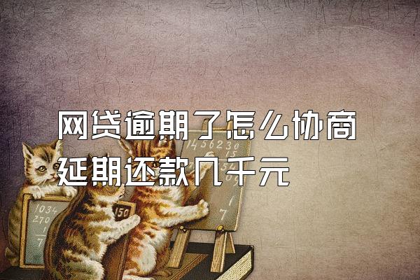 网贷逾期了怎么协商延期还款几千元