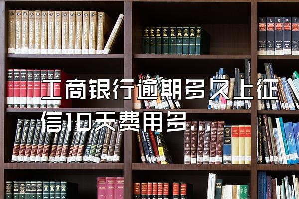 工商银行逾期多久上征信10天费用多少