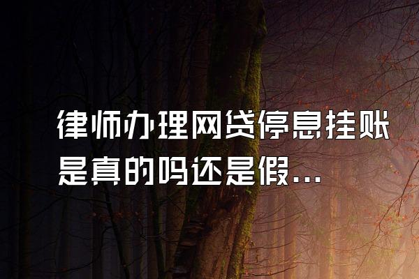 律师办理网贷停息挂账是真的吗还是假的