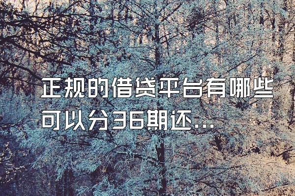 正规的借贷平台有哪些可以分36期还款