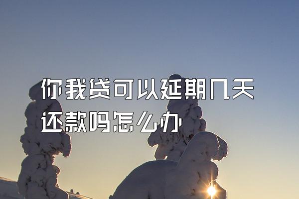 你我贷可以延期几天还款吗怎么办