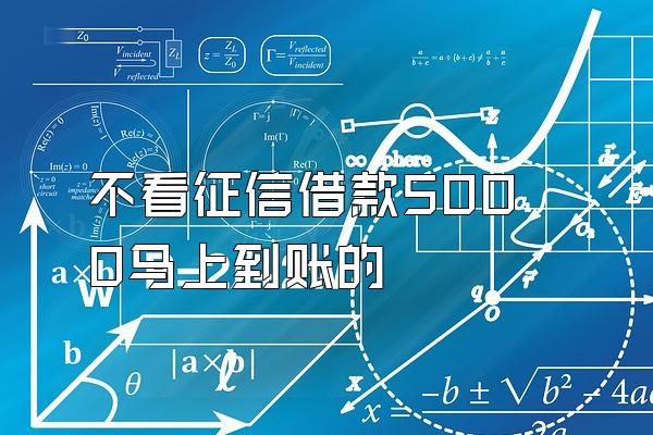 不看征信借款5000马上到账的