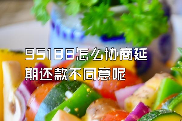 95188怎么协商延期还款不同意呢