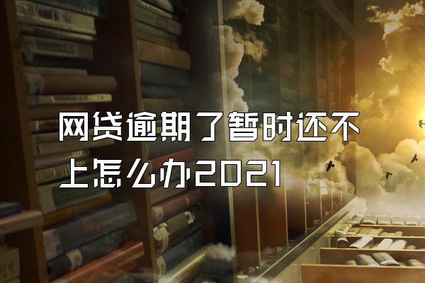 网贷逾期了暂时还不上怎么办2021