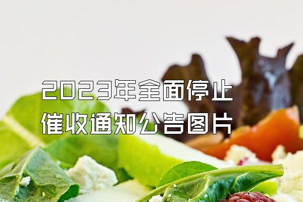 2023年全面停止催收通知公告图片