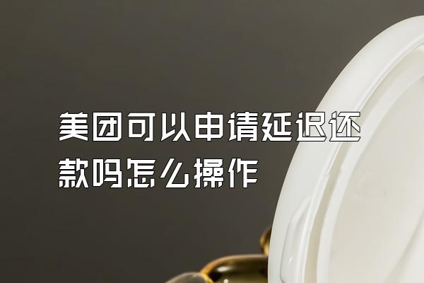 美团可以申请延迟还款吗怎么操作