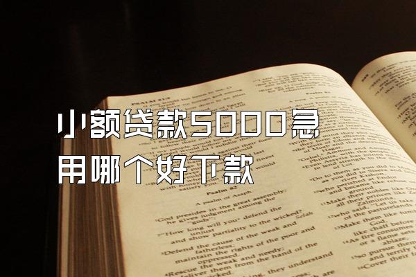 小额贷款5000急用哪个好下款