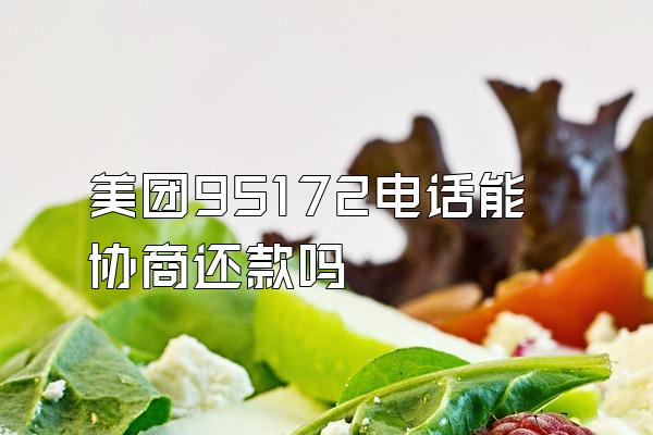 美团95172电话能协商还款吗