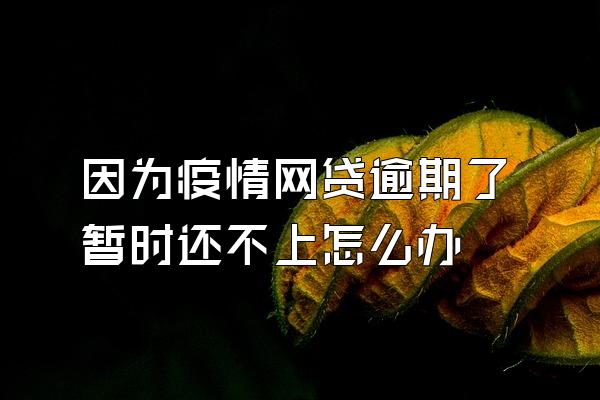 因为疫情网贷逾期了暂时还不上怎么办