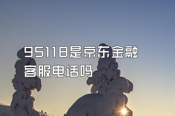 95118是京东金融客服电话吗
