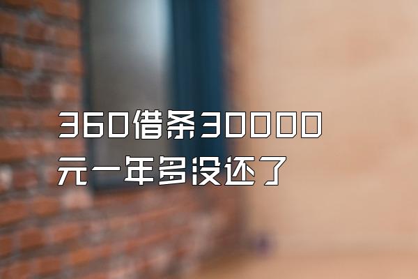 360借条30000元一年多没还了